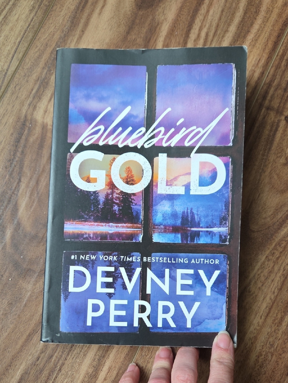Bluebird Gold by Devney Perry - Blue & Purple Paperback